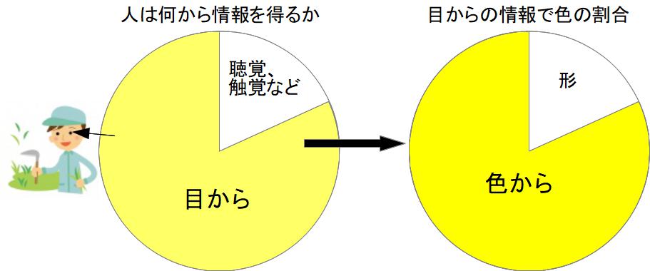 情報の目や色の占める割合