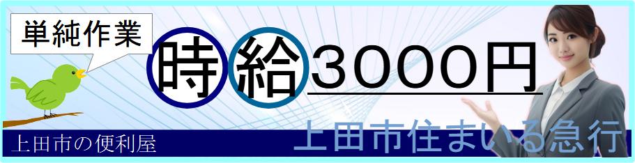 時給３０００円