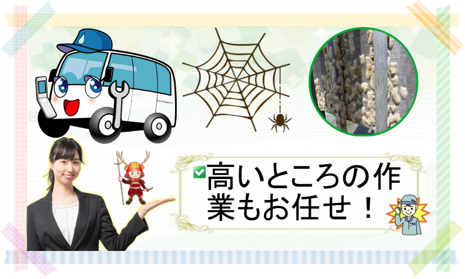 上田市蜘蛛の巣マイマイガ掃除