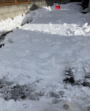 雪かき前